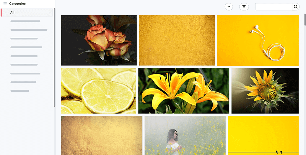 Image database