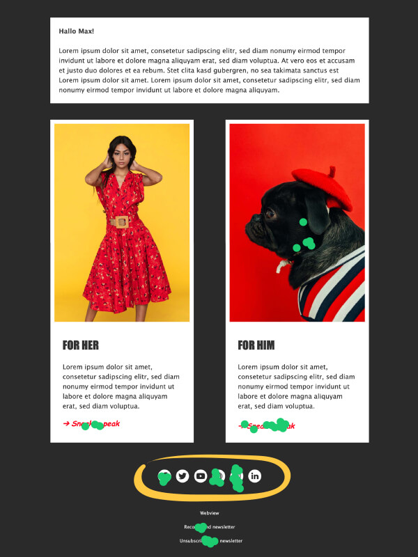 rapidmail newsletter clickmap example