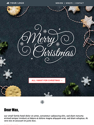Newsletter template for Christmas